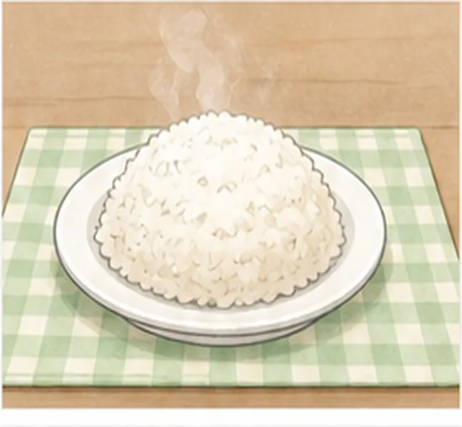 a plate of rice on the table