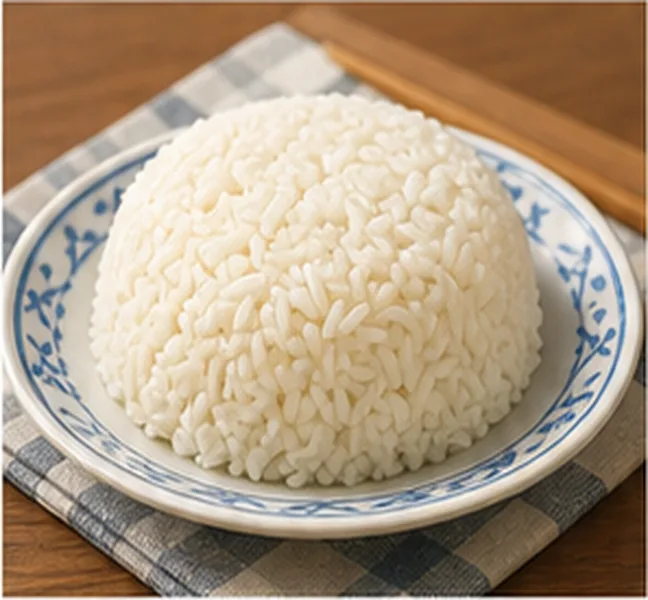 a plate of rice on the table