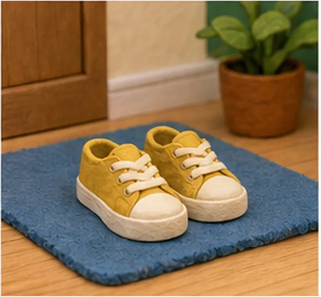 the shoes on the mat