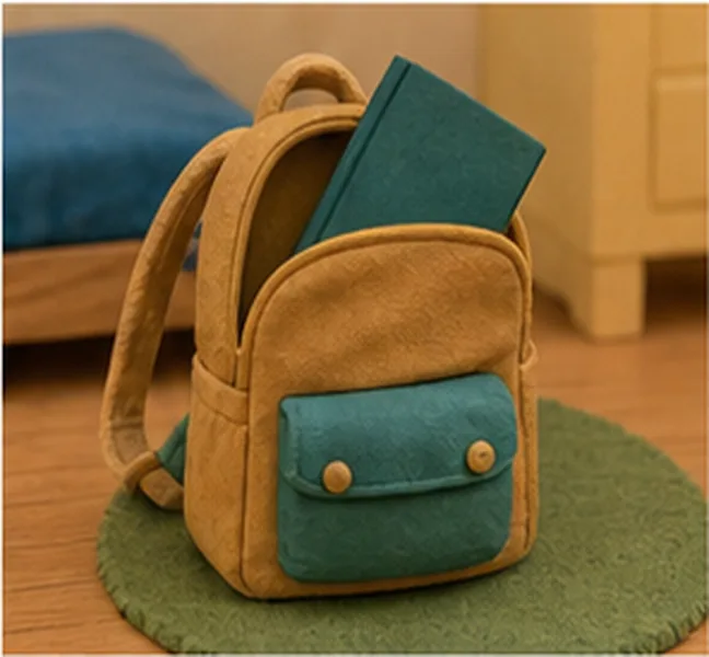 the book in the bag