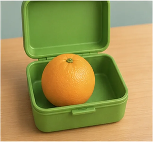 an orange in the lunch box