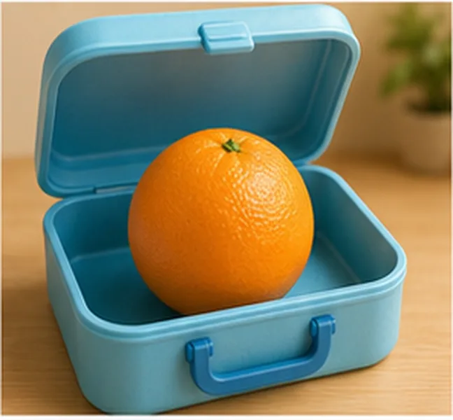 an orange in the lunch box