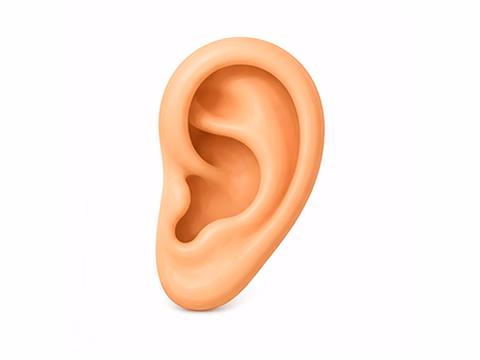 ear