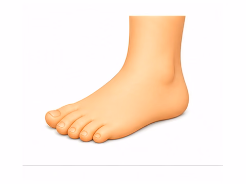 foot