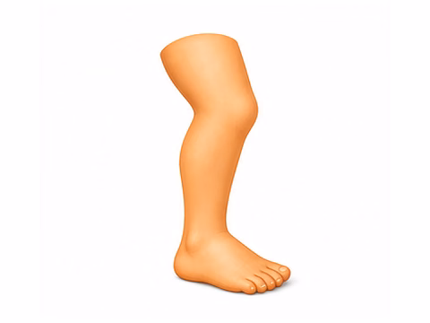 leg