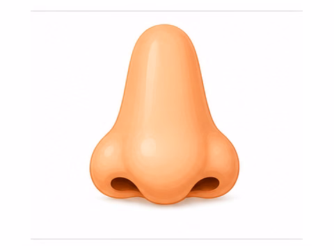 nose