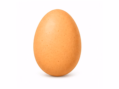 egg