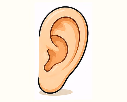 nose