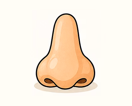 head
