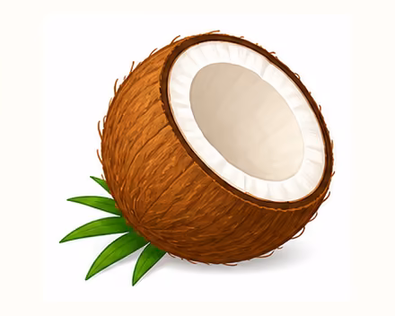 coconut