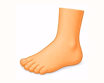 foot