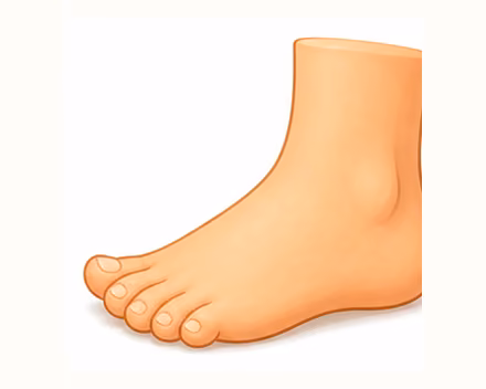 foot