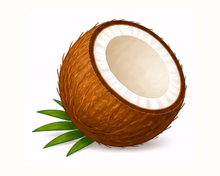 coconut