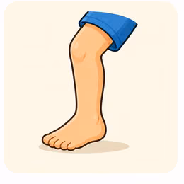 leg