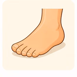 foot
