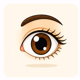 eye