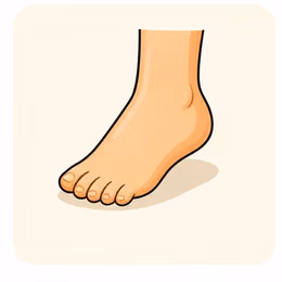 foot